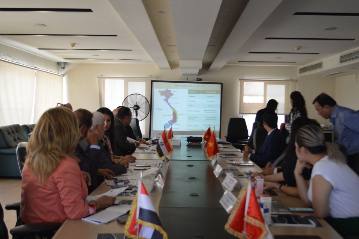 Vietnam, Egypt work to raise two-way trade turnover to more than US$1 billion